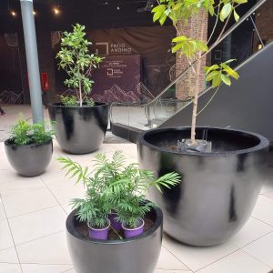 Maceteros Bowl Fibra de Vidrio Terminación Brillante