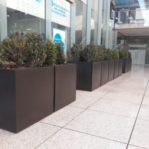 Maceteros Cubos Fibra de Vidrio